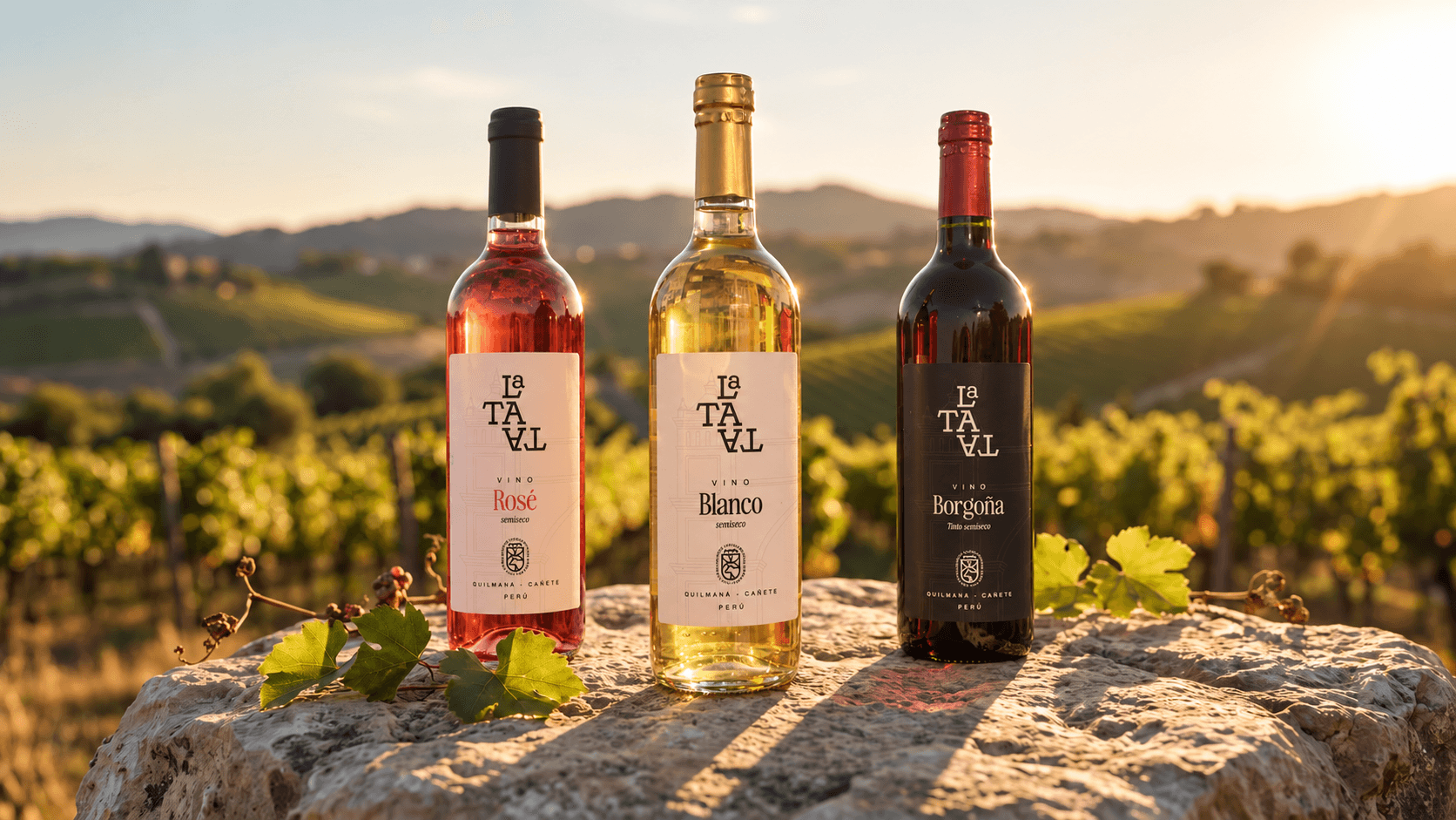 Tres botellas de vino La Tata frente a un viñedo al atardecer